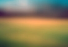 10 Dicas Infalíveis para Evitar Fotos Desfocadas Foto desfocada